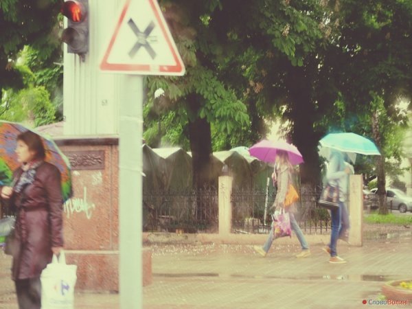 Луцькі парасолі. ФОТО