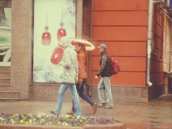 Луцькі парасолі. ФОТО
