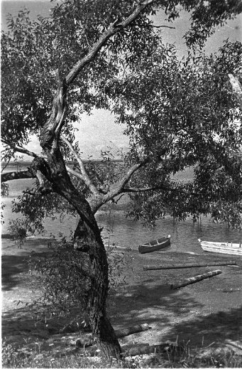 Дітлахи, рибалки та човни: волинське Полісся на фото аргентинки