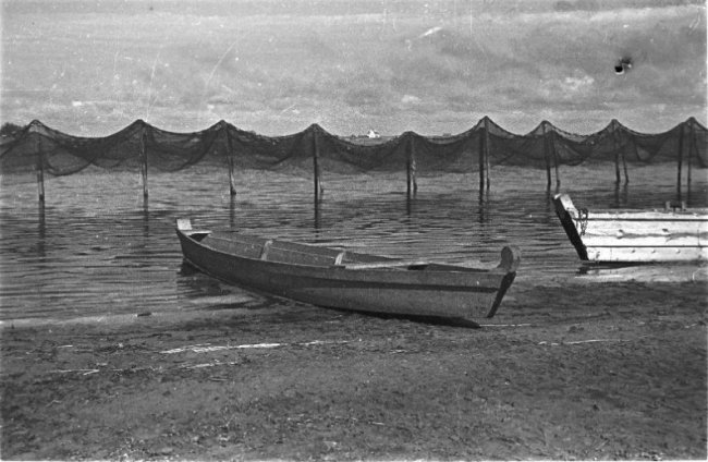 Дітлахи, рибалки та човни: волинське Полісся на фото аргентинки