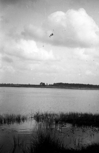 Дітлахи, рибалки та човни: волинське Полісся на фото аргентинки