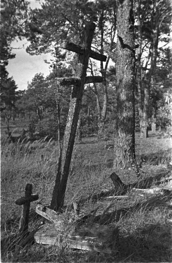 Дітлахи, рибалки та човни: волинське Полісся на фото аргентинки