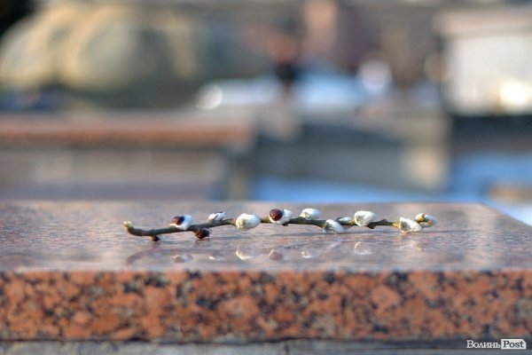 Весна у Луцьку. ФОТО