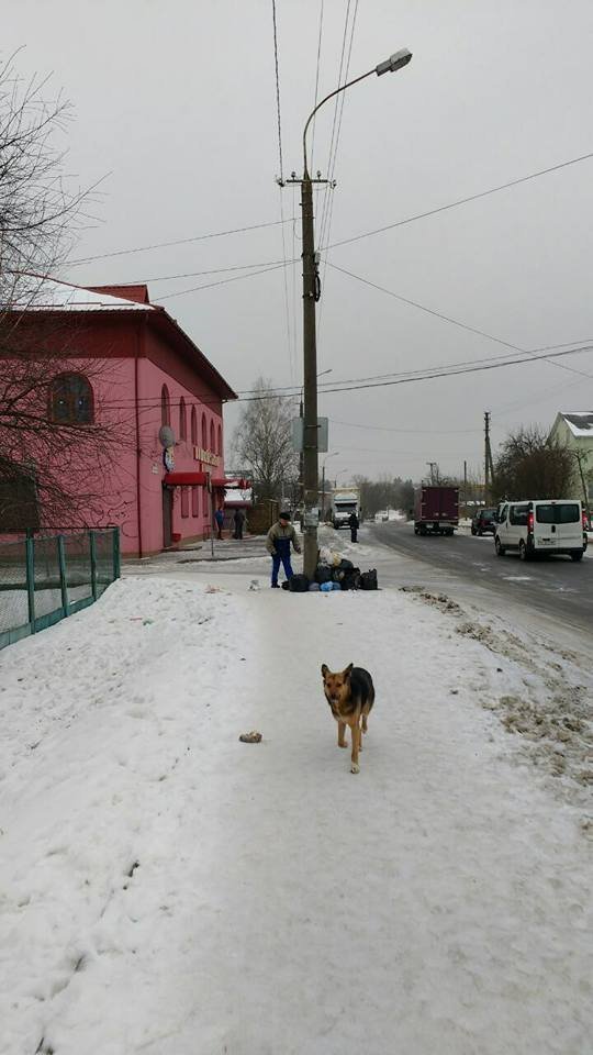 Луцьких муніципалів, які ловили сміттєвих порушників, налякали «совєтами»