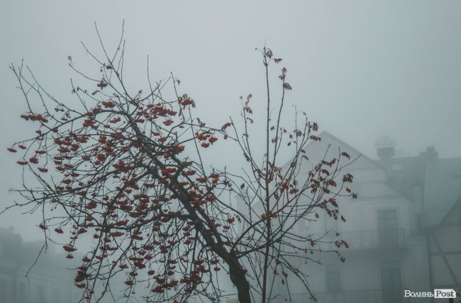 Туманний Луцьк: неймовірні фото 
