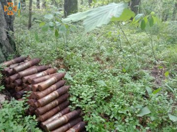 Під час збирання чорниць у лісі волиняни натрапили на небезпечні знахідки