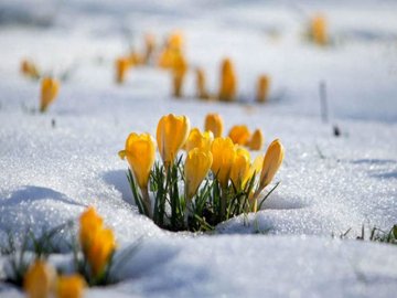 Погода в Луцьку та Волинській області на завтра, 17 лютого