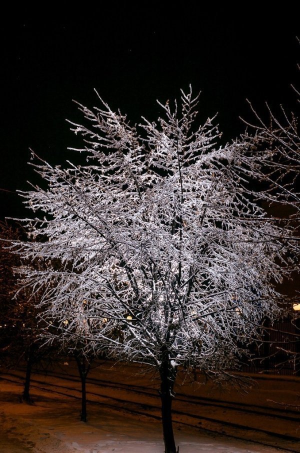 Фотовиставка Дмитра Лисюка