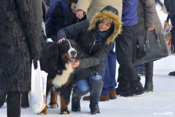 Різдвяне дійство в центрі Луцька: діти