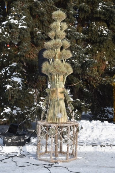 У Луцьку вперше встановили Різдвяного Дідуха