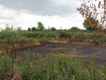 Пустовіт поставив ультиматум цукровому заводу