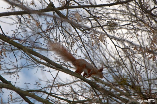 Весна у Луцьку. ФОТО