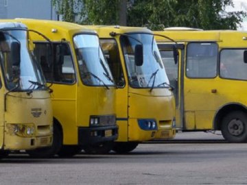 Транспорт у Луцьку запрацює з 1 червня, дитсадки – із 3-го червня