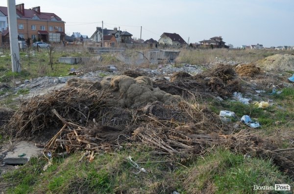 Під школою у Луцьку – купи сміття. ФОТО