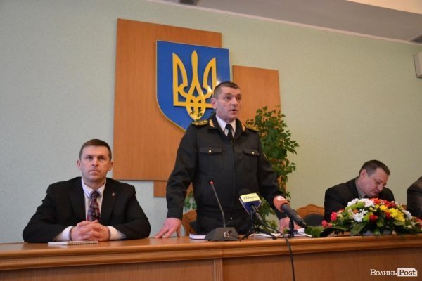 Самовільна рубка, підпільні «пилорами» та бурштин: як порушують закон у волинських лісах. ФОТО