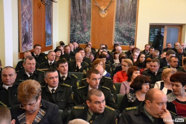 Самовільна рубка, підпільні «пилорами» та бурштин: як порушують закон у волинських лісах. ФОТО