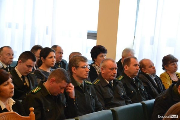 Самовільна рубка, підпільні «пилорами» та бурштин: як порушують закон у волинських лісах. ФОТО