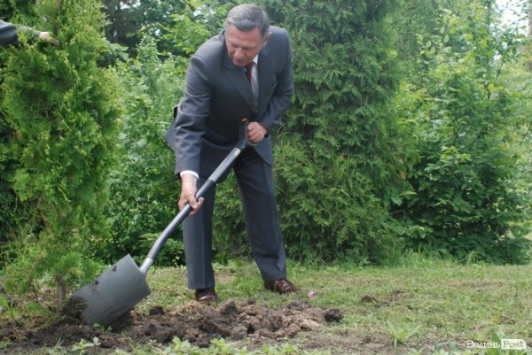 У Луцьку губернатор і мер висадили «Алею миру». ФОТО