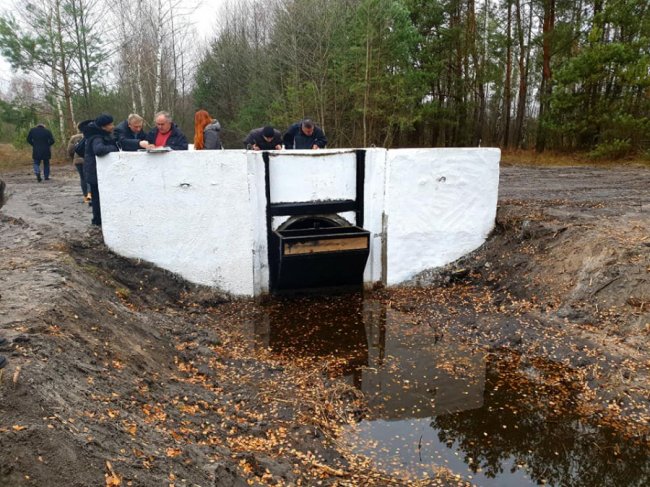 Дослідили одну з причин обміління Світязю 