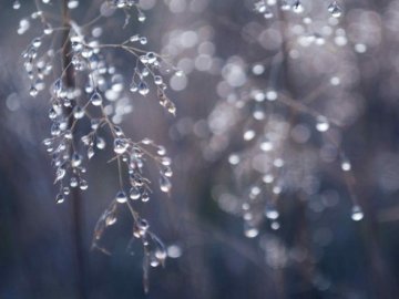 Погода в Луцьку та Волинській області на четвер, 27 лютого