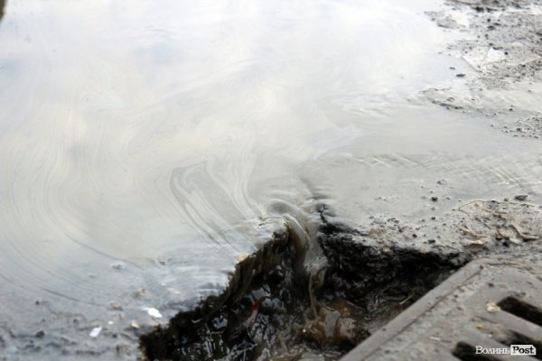 Відлига у Луцьку. ОНОВЛЕНО. ФОТО