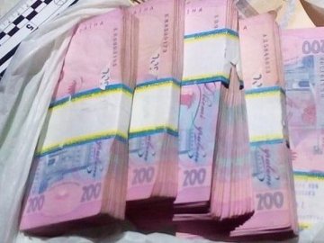 Суд звільнив від покарання волинянку, яка вкрала 500 тисяч гривень на Львівщині