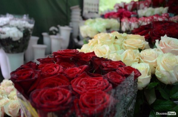 «Квіти - це духовність»: у центрі Луцька сварилися через ринок