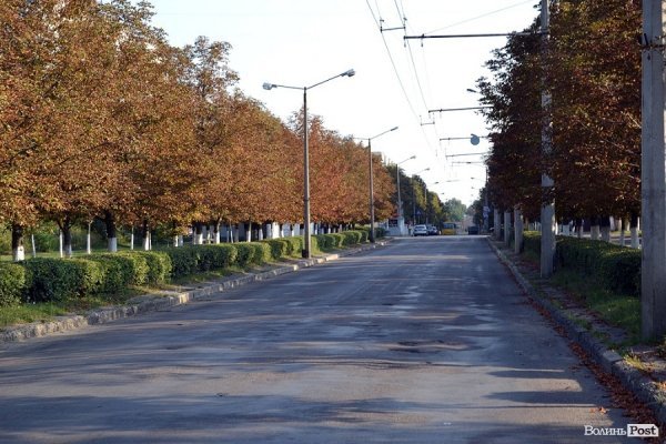Район ДПЗ гарний, хто б що не казав! От якби ще дерева вилікувати...
