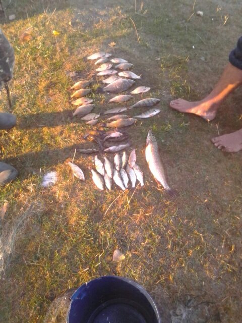 На Волині спіймали браконьєрів, які сітками ловили рибу