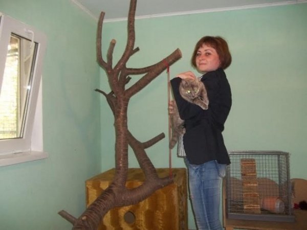 У Луцькому районі працює «собачий готель». ФОТО