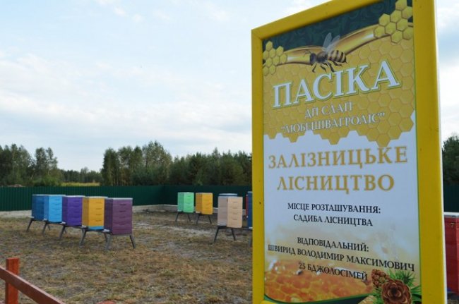 Найкраща фотозона: на Волині відкрили нову будівлю лісництва. ФОТО