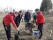 «Посади своє дерево»: волинські школярі підтримали всеукраїнський флешмоб 