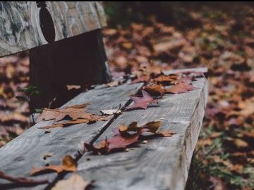 Погода у Луцьку на понеділок, 15 листопада