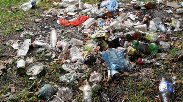 Луцький парк завалили сміттям. ФОТО