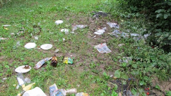 Луцький парк завалили сміттям. ФОТО