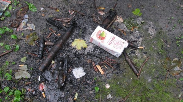 Луцький парк завалили сміттям. ФОТО