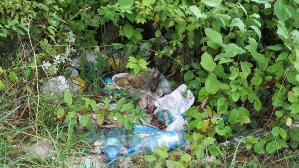 Луцький парк завалили сміттям. ФОТО