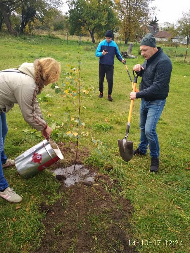 Ковель: в честь захисників України висадили парк