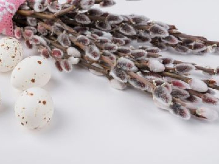 Вербна неділя: що суворо заборонено робити цього дня