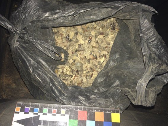 Із BMW волинянина вилучили 15 кілограмів бурштину