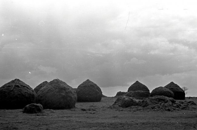 Дітлахи, рибалки та човни: волинське Полісся на фото аргентинки