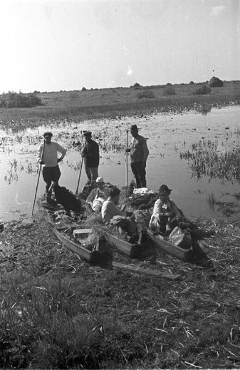Дітлахи, рибалки та човни: волинське Полісся на фото аргентинки