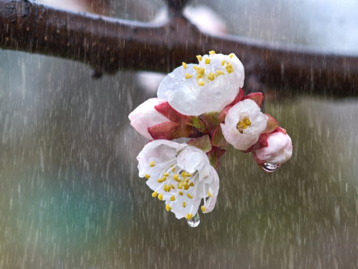 Дощі, сильні пориви та нічні заморозки: на більшість областей насувається похолодання