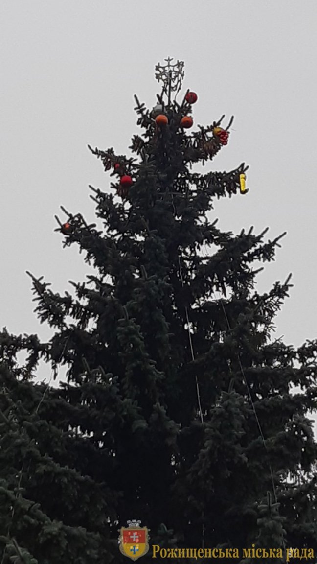 У Рожищі прикрашають головну ялинку міста. ФОТО
