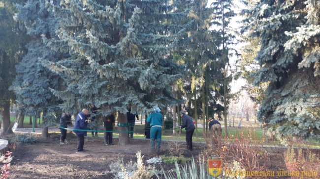 У Рожищі прикрашають головну ялинку міста. ФОТО