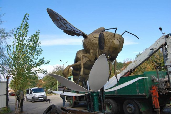 У волинському селищі «поселилася» гігантська бджола. ФОТО