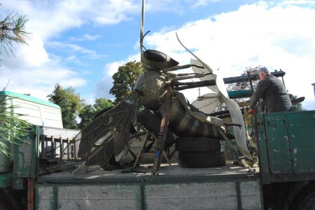У волинському селищі «поселилася» гігантська бджола. ФОТО