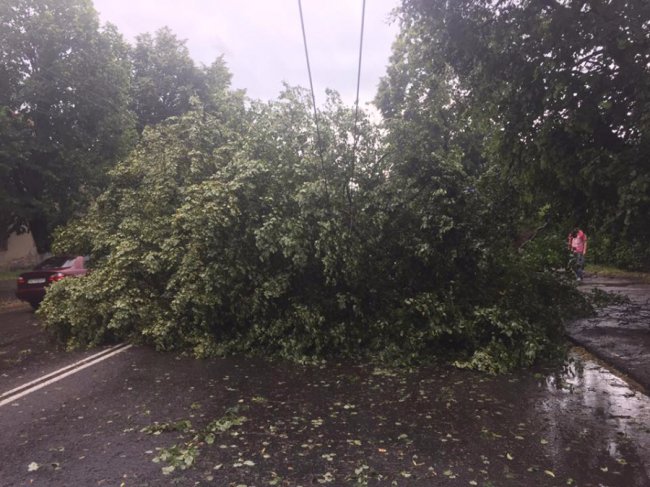 Лучан закликають допомогти розчистити дороги
