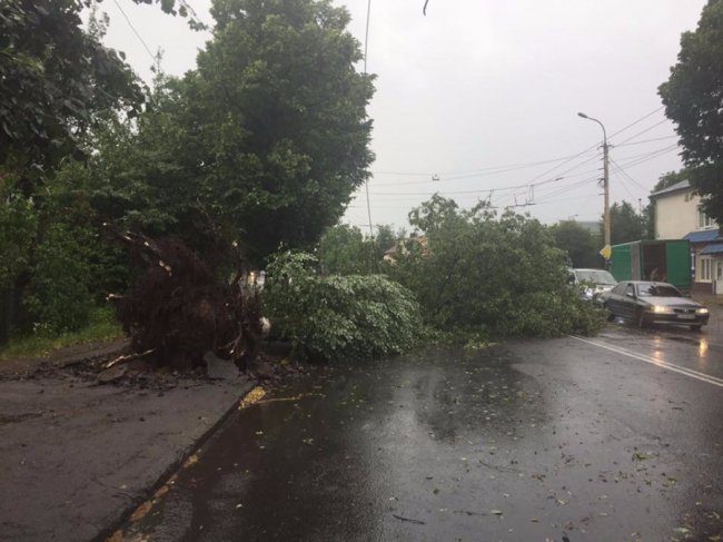 Лучан закликають допомогти розчистити дороги