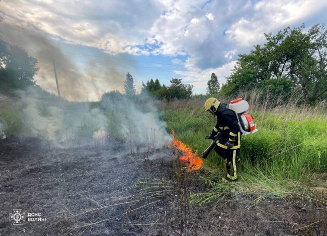 Під Луцьком на дачному масиві жінка розпалила багаття і залишила без нагляду: виникла пожежа